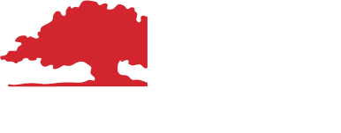 LFX Snow Patrol Logo